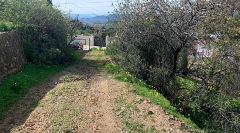 Málaga - Málaga - 1100m2