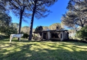 Xalet independent amb terreny en venda a la España, Santa Cristina d'Aro, ref.: TR221189 foto