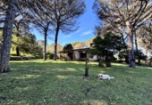 Xalet independent amb terreny en venda a la España, Santa Cristina d'Aro, ref.: TR221189 foto