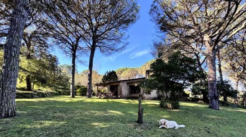 Gerona - Santa Cristina d'Aro - 16863m2
