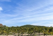 Отдельно стоящий дом с участком на продажу в городе Sant Pere de Ribes Фото