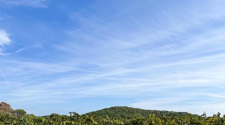 Barcelona - Sant Pere de Ribes - 621m2