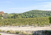 Отдельно стоящий дом с участком на продажу в городе Sant Pere de Ribes Фото