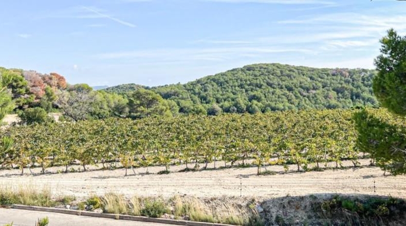 Barcelona - Sant Pere de Ribes - 621m2