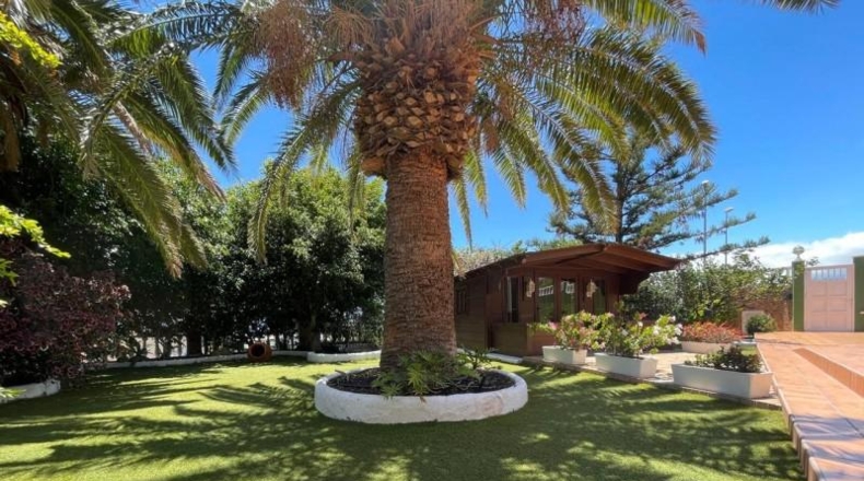 Santa Creu de Tenerife - Candelaria - 1200m2
