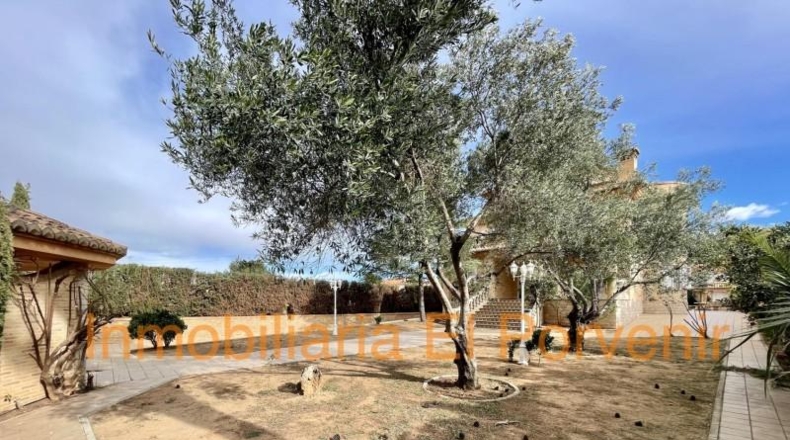 Valencia - Torrente - 1194m2
