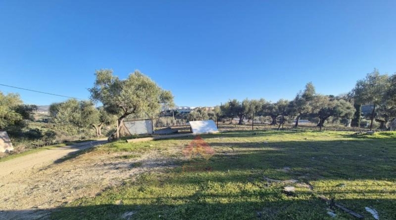 Málaga - Ronda - 14681m2