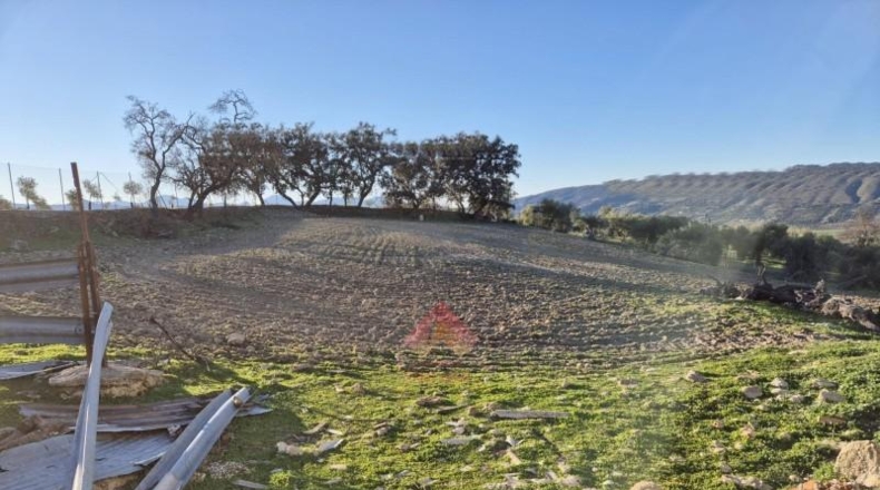Málaga - Ronda - 14681m2