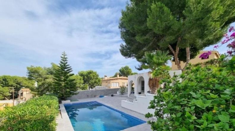 Alicante - Torrevieja - 608m2