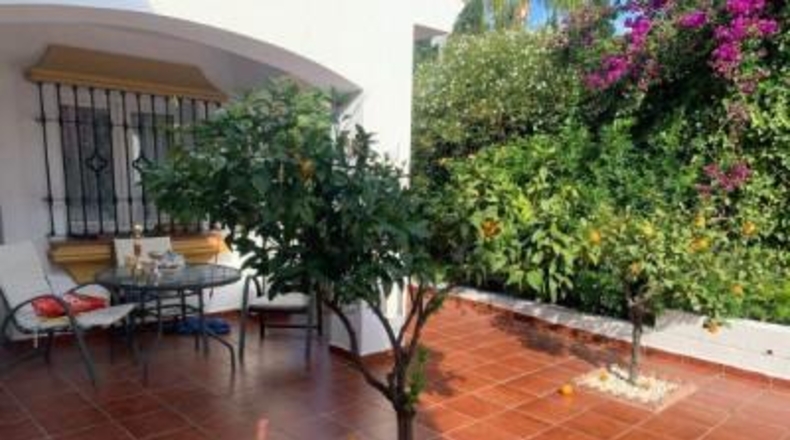 Málaga - Málaga - 980m2
