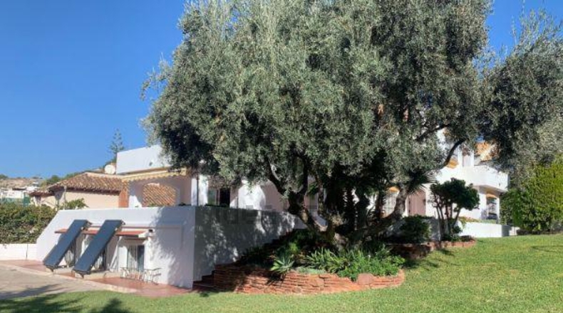 Málaga - Málaga - 980m2