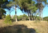Urban land for sale on España, l'Escala, ref: TR124010 photo