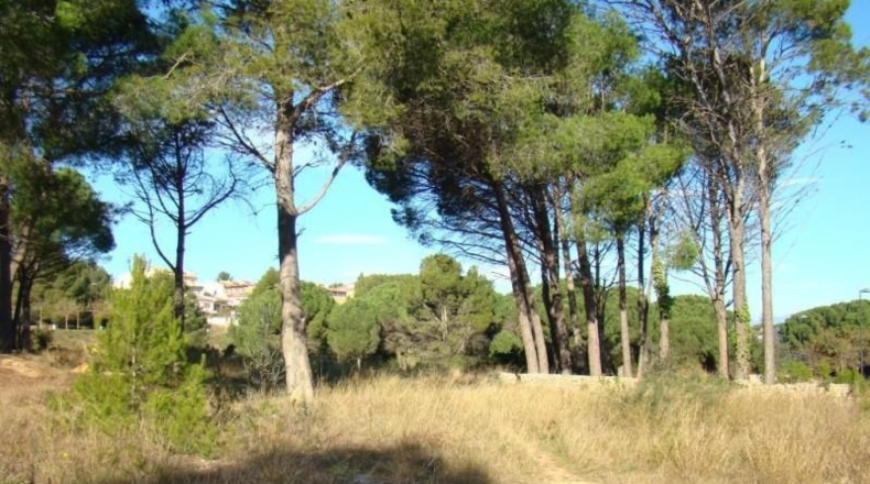 Tarragona - Reus - 1576m2