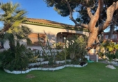 Xalet independent amb terreny en venda a la España, Dehesa de Campoamor, ref.: TR224205 foto