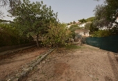 Detached villa with land for sale on España, Palma de Mallorca, ref: TR175895 photo