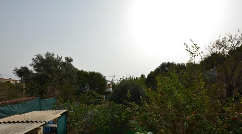 Balearic Islands - Palma - 860m2