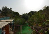 Detached villa with land for sale on España, Palma de Mallorca, ref: TR175895 photo