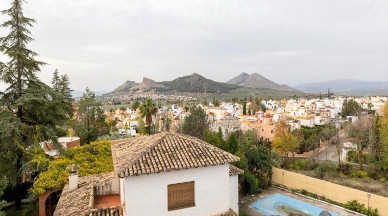 Granada - Albolote - 1100m2