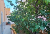 Casa con terreno en venta en la España, Palma, ref: TR302774 foto