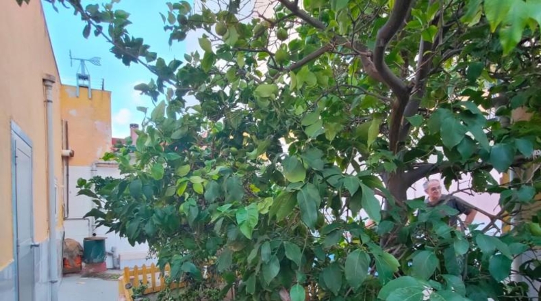 Balearic Islands - Palma - 248m2