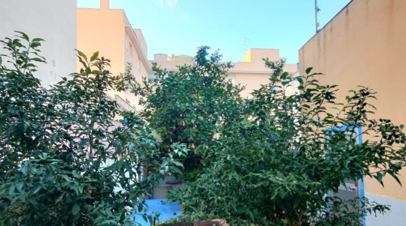 Balearic Islands - Palma - 248m2