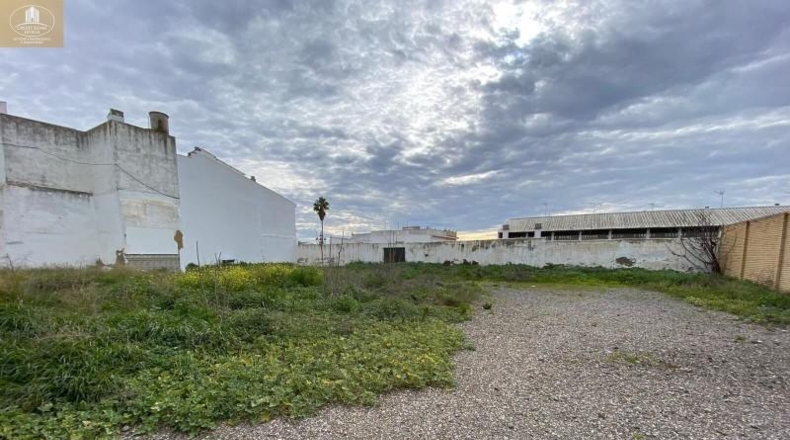 Sevilla - Umbrete - 1334m2