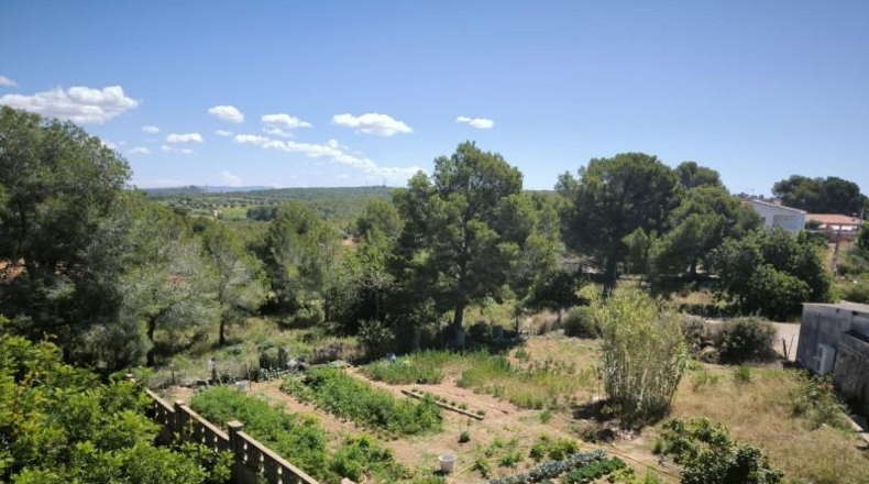 Tarragona - el Vendrell - 24729m2