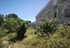 Foto 19