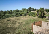 Загородный дом с участком на продажу в городе el Vendrell Фото