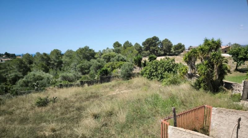 Tarragona - el Vendrell - 24729m2