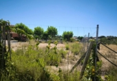 Загородный дом с участком на продажу в городе el Vendrell Фото