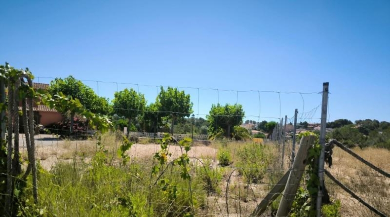 Tarragona - el Vendrell - 24729m2