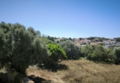 Загородный дом с участком на продажу в городе el Vendrell Фото
