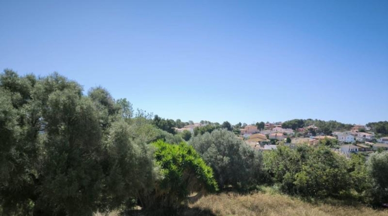 Tarragona - el Vendrell - 24729m2