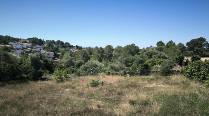 Tarragona - el Vendrell - 24729m2