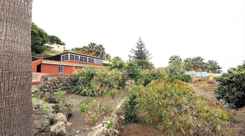 Santa Cruz de Tenerife - Icod de los Vinos - 2100m2