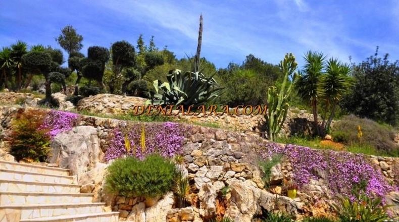 Alicante - Pedreguer - 9000m2