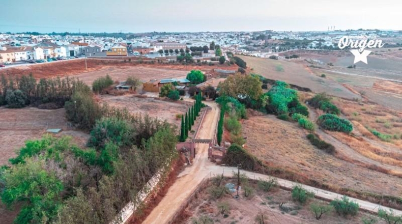 Sevilla - Mairena del Alcor - 26156m2