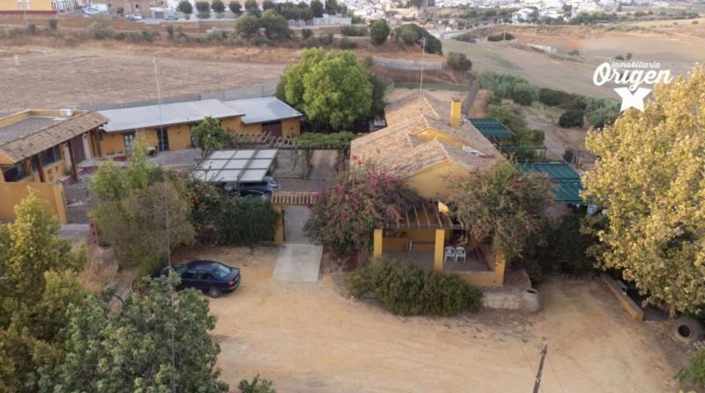 Sevilla - Mairena del Alcor - 26156m2