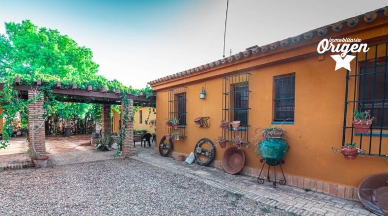 Sevilla - Mairena del Alcor - 26156m2