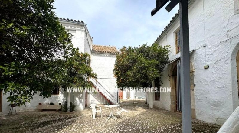 Córdoba - Lucena - 1451m2
