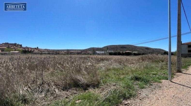 Guadalajara - Sigüenza - 30000m2