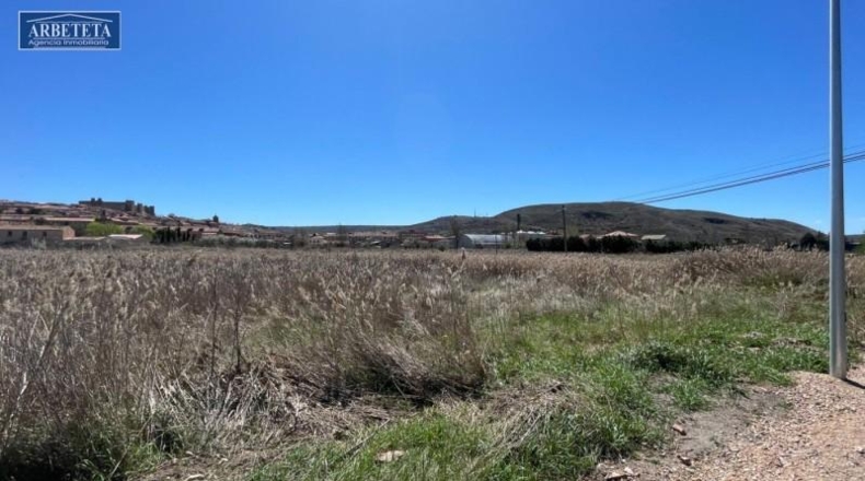 Guadalajara - Sigüenza - 30000m2