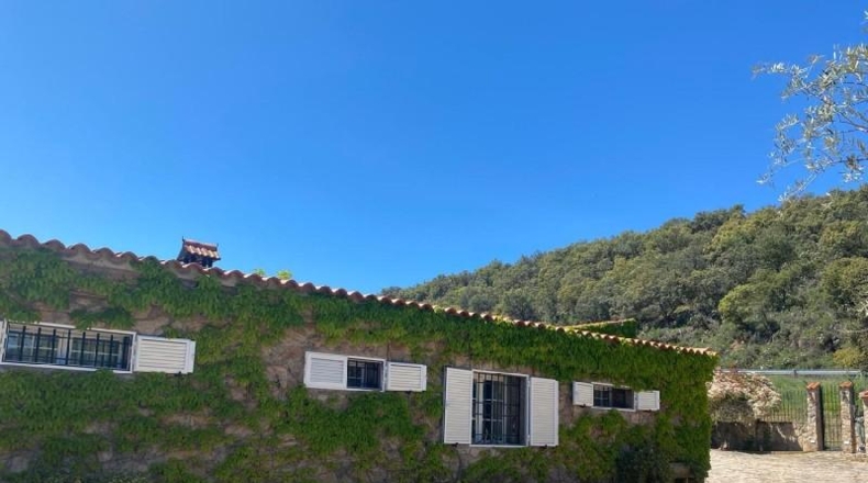 Toledo - Espinoso del Rey - 40000m2