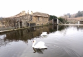 Country house with land for sale on España, Querol, ref: TR134998 photo