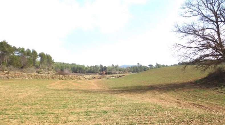 Tarragona - Querol - 615000m2