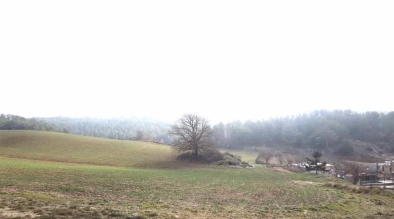 Tarragona - Querol - 615000m2