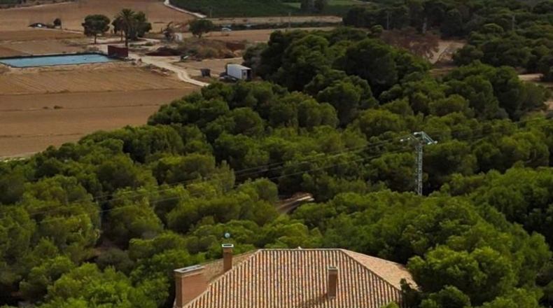 Alicante - Rojales - 13000m2