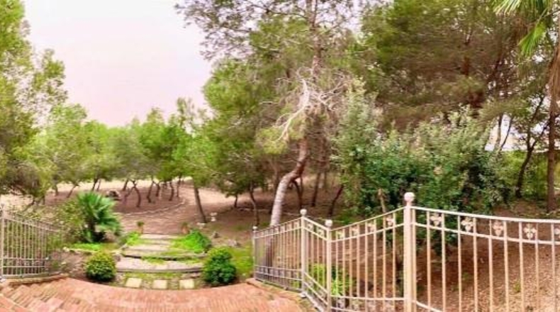Alicante - Rojales - 12947m2