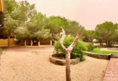 Detached villa with land for sale on España, Rojales, ref: TR159016 photo